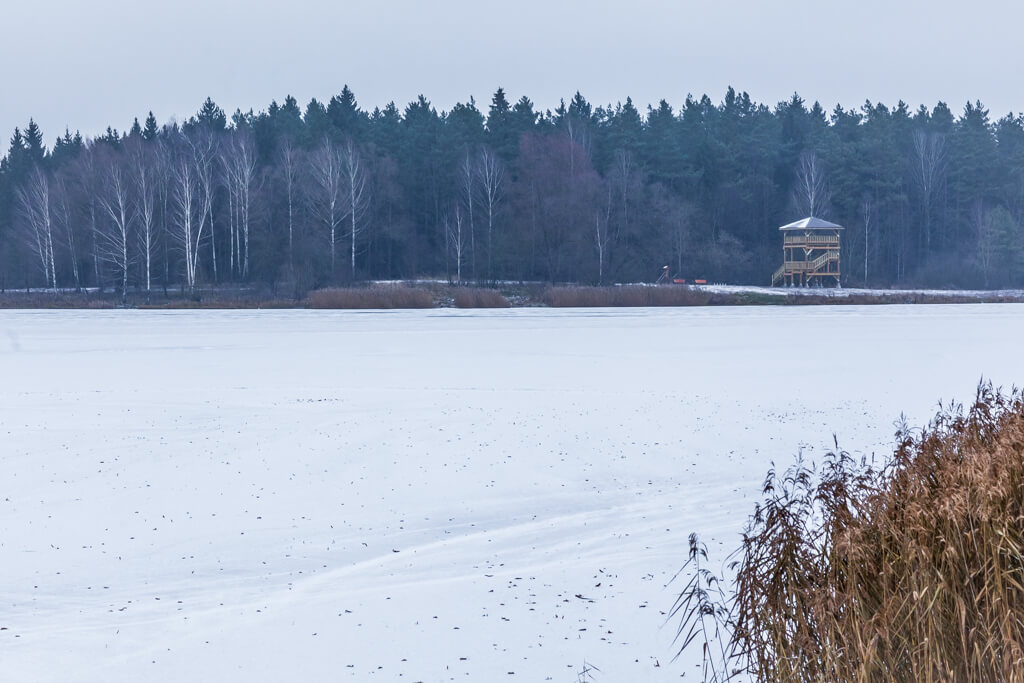 Zalew Czapielówka pokryty lodem i śniegiem / Czapielówka reservoir covered with ice and snow