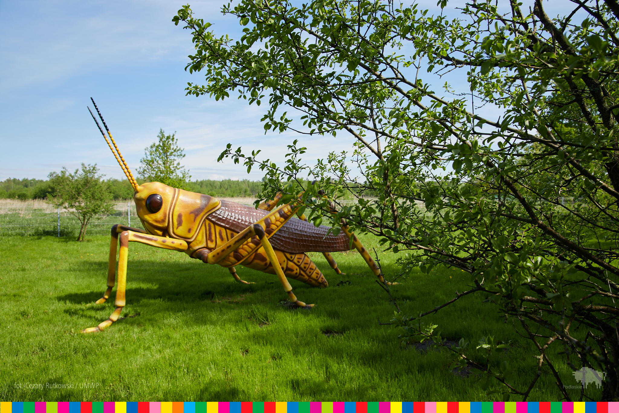 Gigantyczny model owada na trawie 